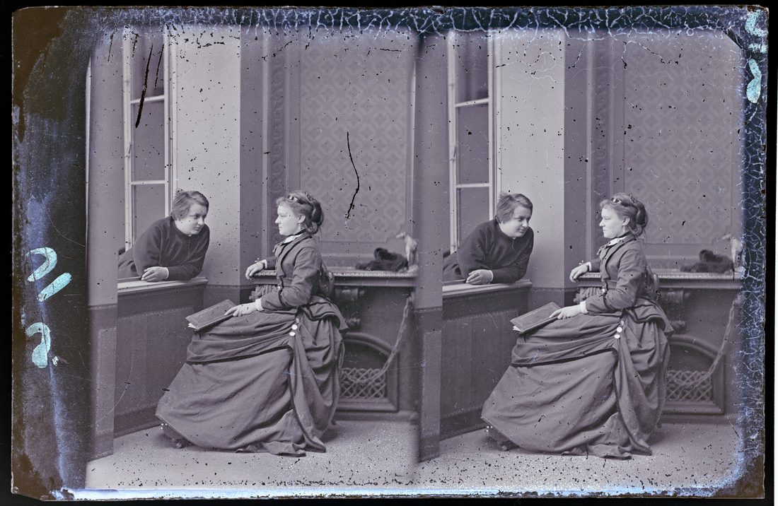 Andrzej and Maria Potocki, portrait, 1874, second negative